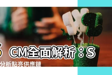 【scm分析】SCM全面解析：SCM分析點亮供應鏈