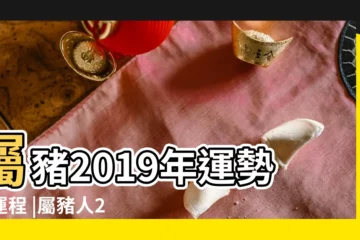【屬豬2019年考試運】屬豬2019年運勢及運程 |屬豬人2019年度運勢 |19年4歲生肖 |