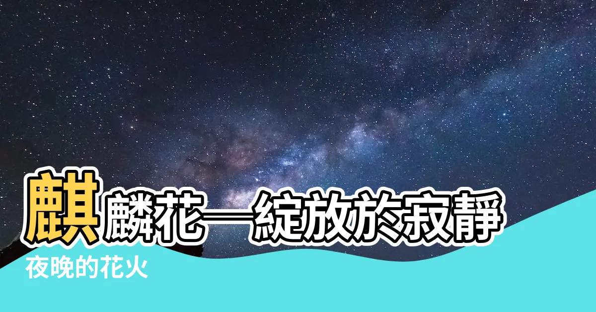 【麒麟 花】麒麟花─綻放於寂靜夜晚的花火