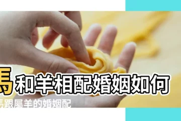 【屬羊與屬馬的婚配好嗎】馬和羊相配婚姻如何屬馬跟屬羊的婚姻配嗎 |屬馬和屬羊的人 |夫妻屬相 |