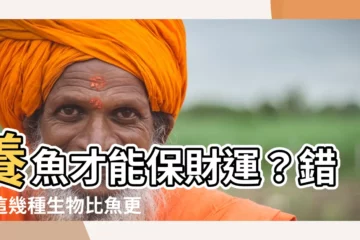 【做生意不能養蝦】養魚才能保財運？錯！這幾種生物比魚更招財，還能旺生意！