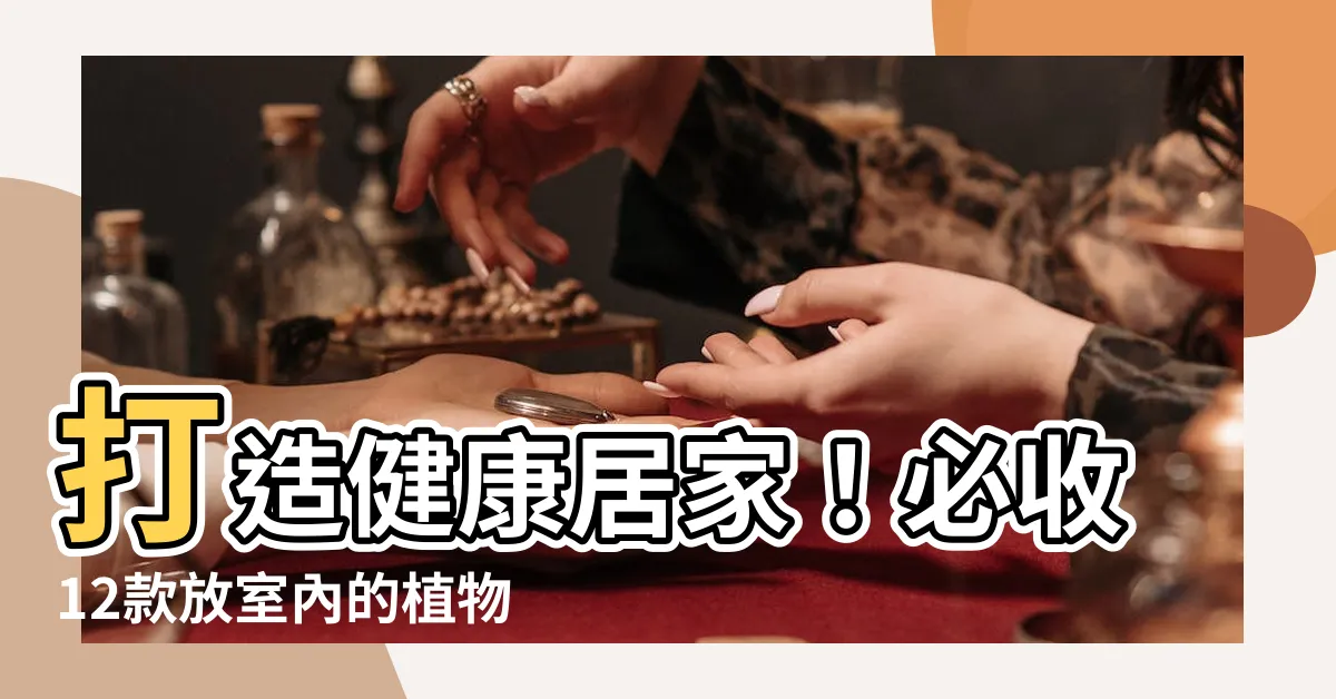 【放室內的植物】打造健康居家！必收12款放室內的植物