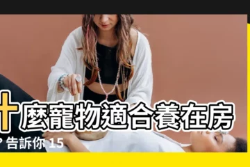 【養什麼】什麼寵物適合養在房間？告訴你 15 種省麻煩的人氣寵物！