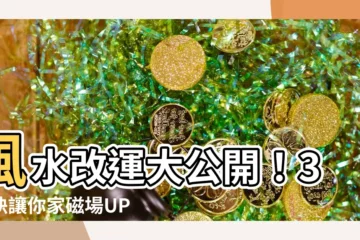 【風水改運】風水改運大公開！3秘訣讓你家磁場UP、財運旺