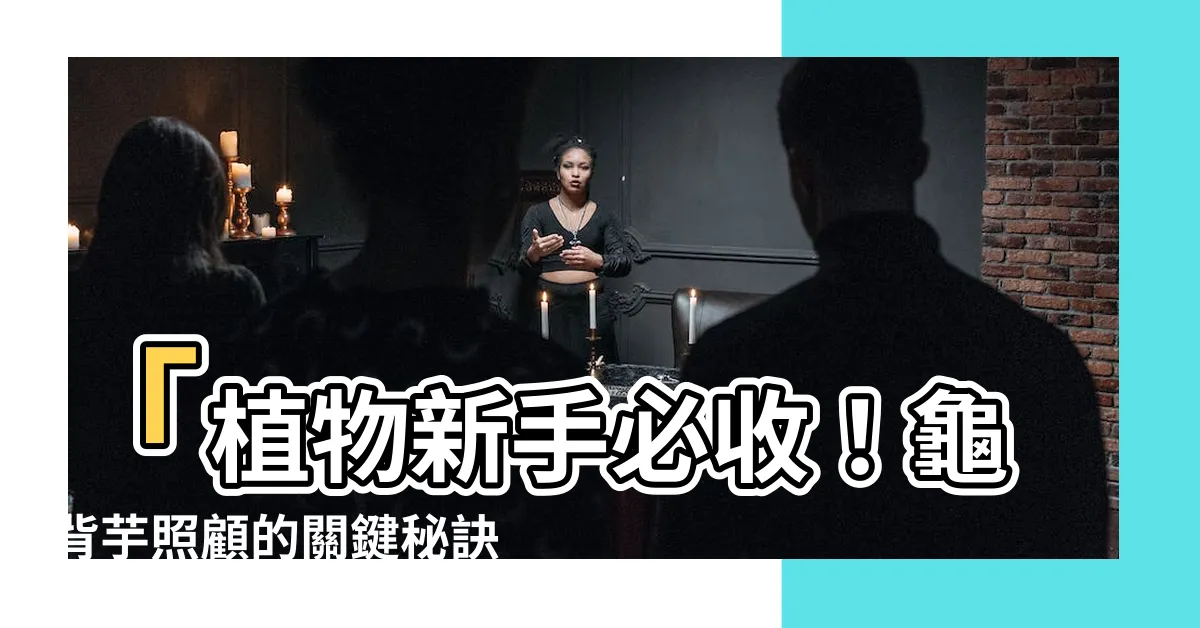 【龜背芋照顧】「植物新手必收！龜背芋照顧的關鍵秘訣，綠手指絕對不能錯過！」