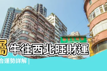 【白羊座運勢旺的城市】屬牛往西北旺財運 |綜合運勢詳解 |2月13日水瓶座白羊座互旺 |