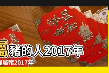 【2017年屬豬感情運程】屬豬的人2017年運程屬豬2017年運勢運程 |屬豬2017年運勢及運程 |2017年生肖豬要注意的情感問題 |