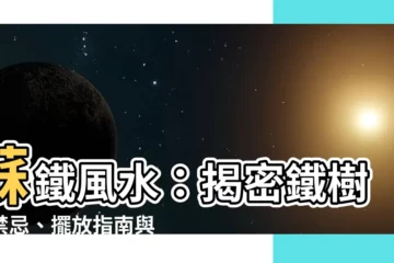 【蘇鐵風水】蘇鐵風水：揭密鐵樹的禁忌、擺放指南與旺宅之謎