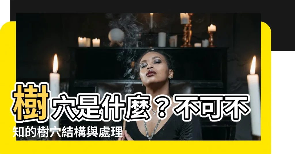 【樹穴是什麼】樹穴是什麼？不可不知的樹穴結構與處理方法，打造城市綠化新境界