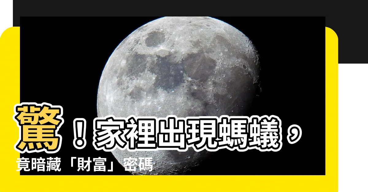 【蟻 風水】驚！家裡出現螞蟻，竟暗藏「財富」密碼？從蟻相看你家風水