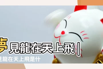 【女人夢見好龍在天上飛】夢見龍在天上飛 |夢見龍在天上飛是什麼意思 |夢見女人龍在天上飛 |