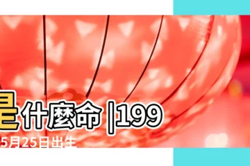 【1996年5月25男的性格】是什麼命 |1996年5月25日出生日期測一生命運 |生日測試性格 |