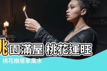 【桃花樹風水】桃園滿屋 桃花運旺旺！桃花樹居家風水秘辛大公開