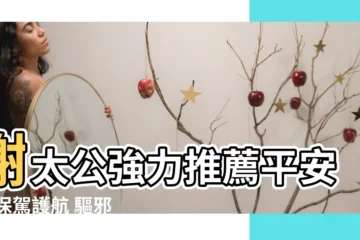【謝太公平安膏】謝太公強力推薦平安膏 保駕護航 驅邪避兇