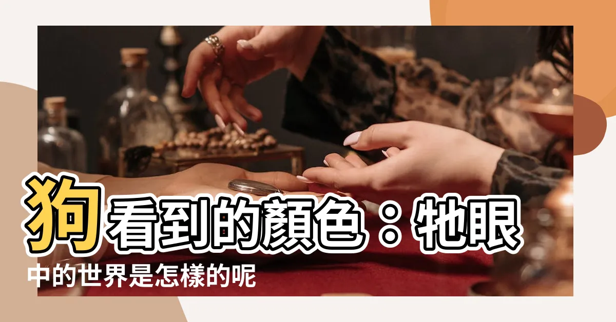 【狗看到的顏色】狗看到的顏色：牠眼中的世界是怎樣的呢？