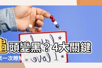 【龜頭黑黑】龜頭變黑？4大關鍵因素一次瞭解！