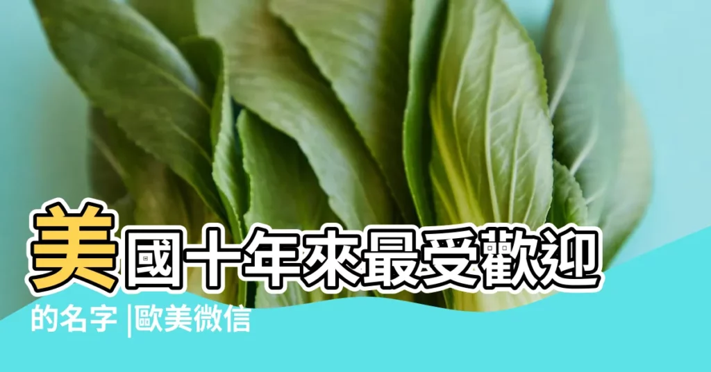 美國十年來最受歡迎的名字 |歐美微信名字英文個性英文個性微信名稱 |為你解讀歐美時尚裏的名字經 |【歐美復古人物名字大全】