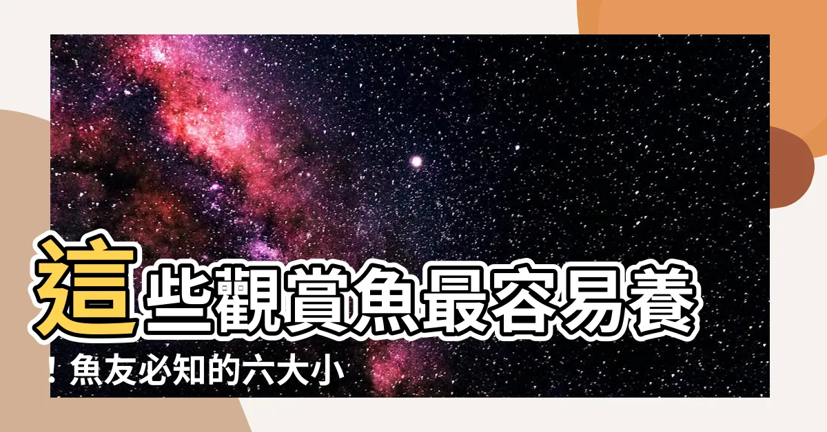 【最容易養的魚】這些觀賞魚最容易養！魚友必知的六大小撇步！