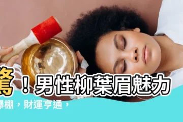 【柳葉眉 男】驚！男性柳葉眉魅力大爆棚，財運亨通，好男人非你莫屬！