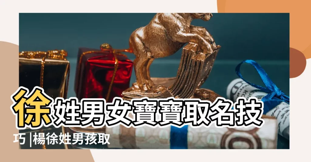 徐姓男女寶寶取名技巧 |楊徐姓男孩取名字大全 |思路與一點心得體會 |【徐姓飯店取名】