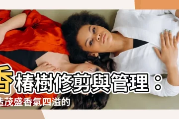 【香椿樹修剪】香椿樹修剪與管理：打造茂盛香氣四溢的香椿樹秘訣