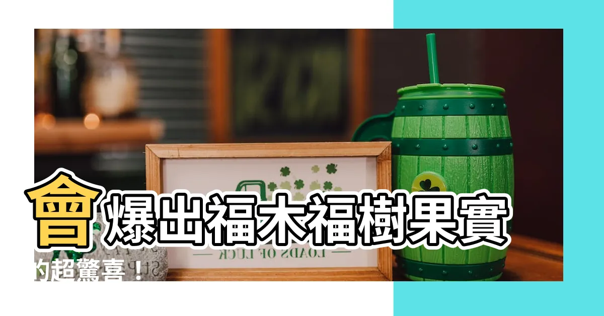 【福樹果實】會爆出福木福樹果實的超驚喜！