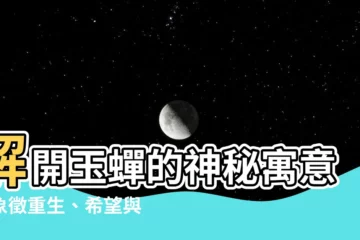 【玉蟬的意思】解開玉蟬的神秘寓意：象徵重生、希望與長生