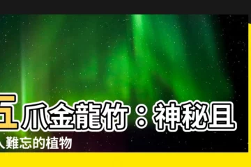 【五爪金龍竹】五爪金龍竹：神秘且令人難忘的植物