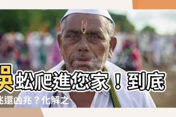 【蜈蚣進家門】蜈蚣爬進您家！到底吉兆還凶兆？化解之道千萬別錯過！
