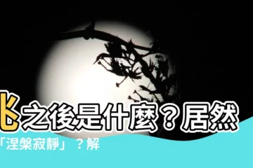 【兆後面】兆之後是什麼？居然有「涅槃寂靜」？解鎖數字世界的無限可能！