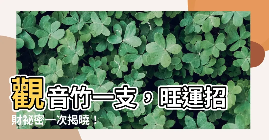 【觀音竹一支】觀音竹一支，旺運招財秘密一次揭曉！