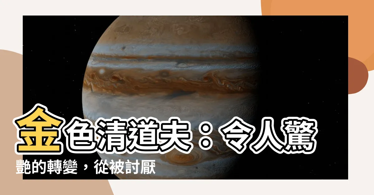 【金色清道夫】金色清道夫：令人驚艷的轉變，從被討厭到受寵的萬元角色