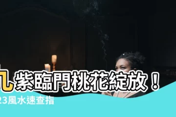 【九紫位】九紫臨門桃花綻放！2023風水速查指南，助你愛情升職兩相宜