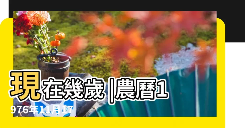 現在幾歲 |農曆1976年11月17日生日算命 |1976年11月17日出生時間看命運 |【農曆1976年11月17陽曆是多少歲】