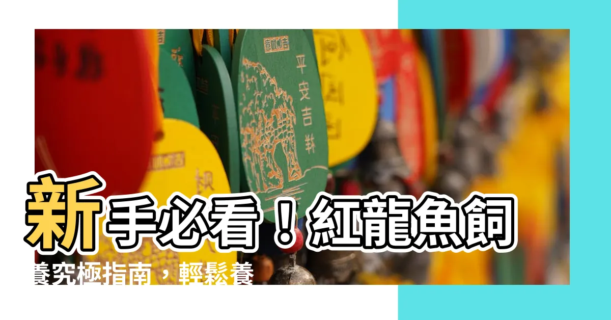 【紅龍魚飼養】新手必看！紅龍魚飼養究極指南，輕鬆養出豔紅絕美佳作