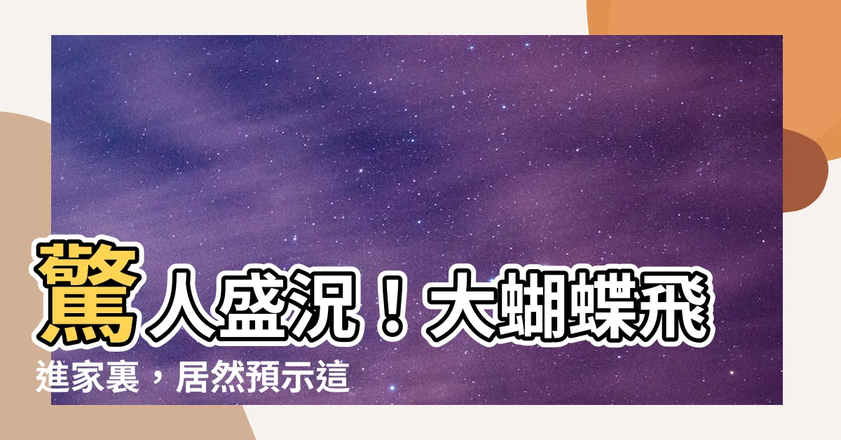 【大蝴蝶飛進家裏代表什麼】驚人盛況！大蝴蝶飛進家裏，居然預示這種神秘事情發生！