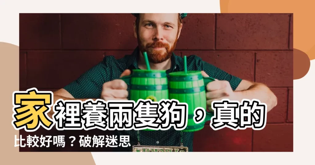 【家裡養兩隻狗】家裡養兩隻狗，真的比較好嗎？破解迷思與相處問題