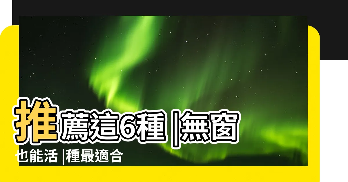 【無窗浴室植物】推薦這6種 |無窗也能活 |種最適合養在浴室 |