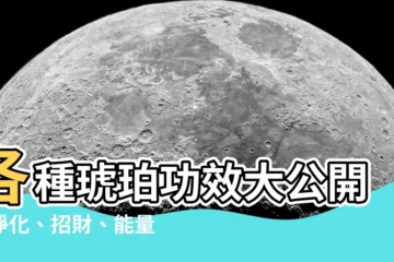 【各種琥珀功效】各種琥珀功效大公開！淨化、招財、能量一次搞懂