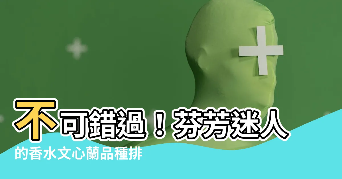 【香水文心蘭品種】不可錯過！芬芳迷人的香水文心蘭品種排行榜，點燃你的嗅覺盛宴
