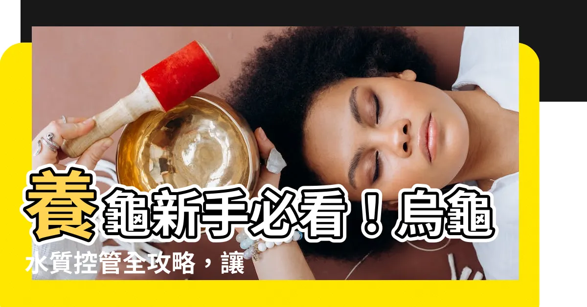 【烏龜 水】養龜新手必看！烏龜水質控管全攻略，讓你養龜上手不失敗