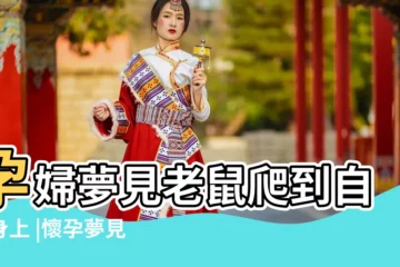 【孕婦夢見老鼠爬到自己身上】孕婦夢見老鼠爬到自己身上 |懷孕夢見老鼠爬到身上 |孕婦夢見老鼠跳到身上 |