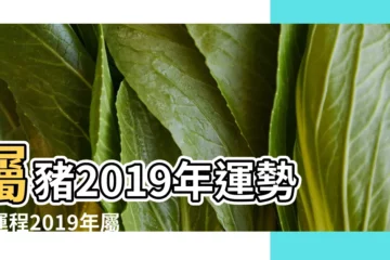 【1935年2019年每月運勢】屬豬2019年運勢及運程2019年屬豬人本命年運勢 |屬豬的今年多大屬豬人2019年每月運勢 |出生年份生肖對照表 |