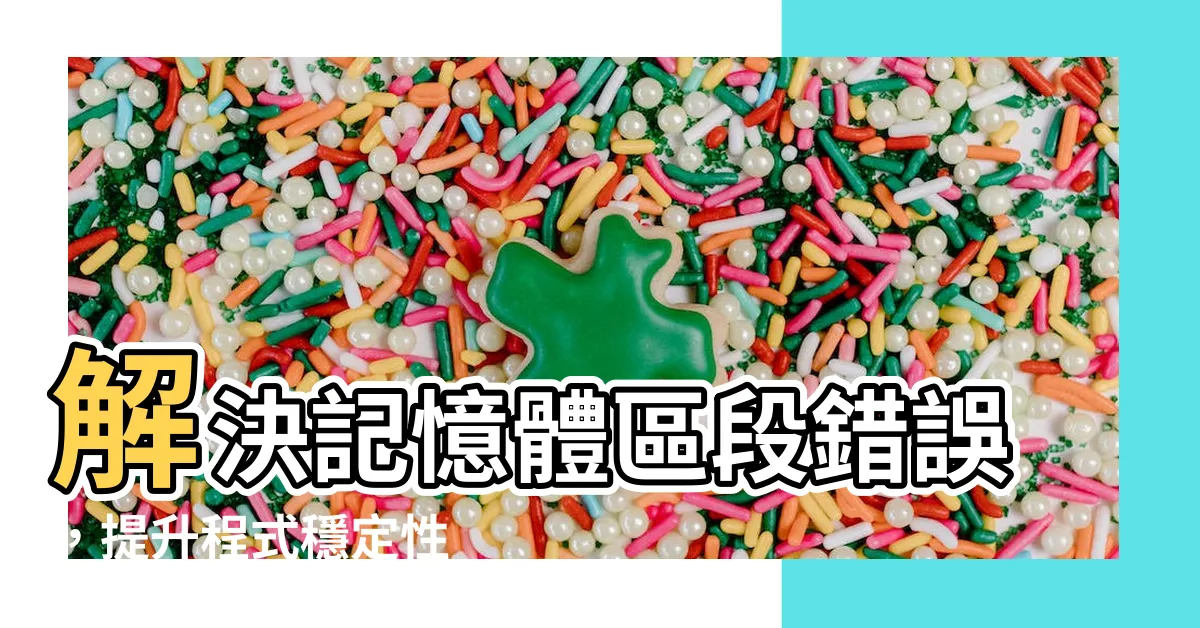 【段錯誤】解決記憶體區段錯誤，提升程式穩定性