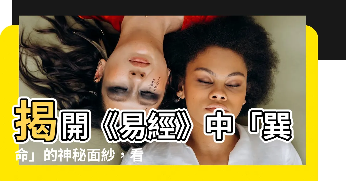 【巽命人】揭開《易經》中「巽命」的神秘面紗，看「巽命人」如何應變時勢