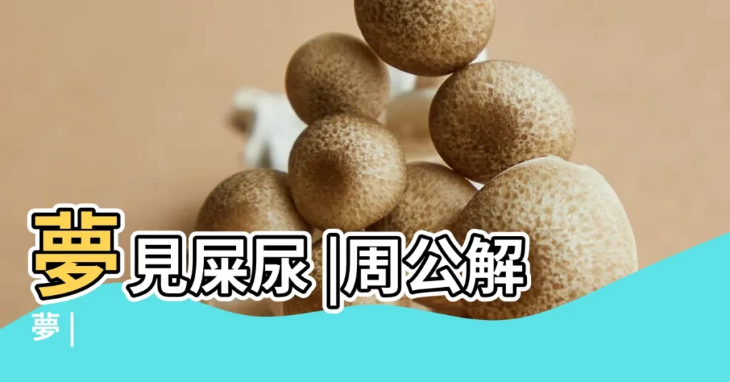 夢見屎尿 |周公解夢 |【夢見拉尿拉大便是怎麼回事啊】