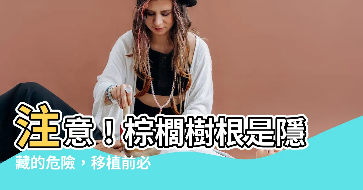 【棕櫚樹根】注意！棕櫚樹根是隱藏的危險，移植前必看