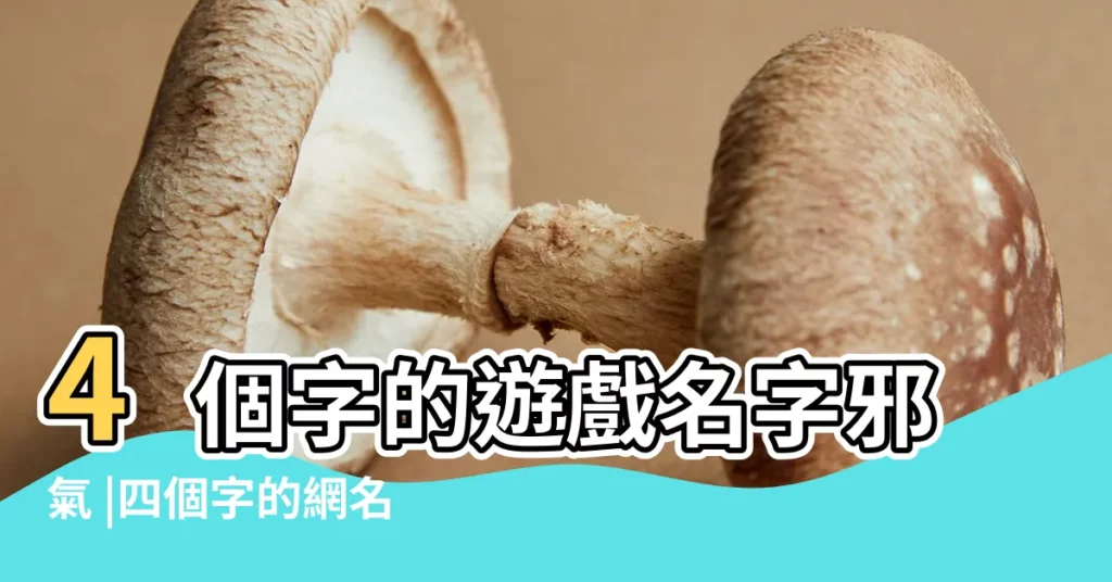 4個字的遊戲名字邪氣 |四個字的網名 |小開頭三個字遊戲名字 |【4個字藝術遊戲名字】