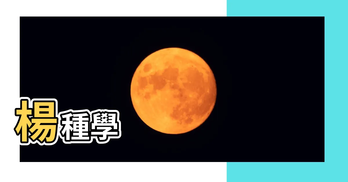 【楊種學】楊種學