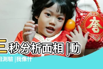 【測長得像什麼動物】三秒分析面相 |動物相測驗 |我像什麼動物測試 |